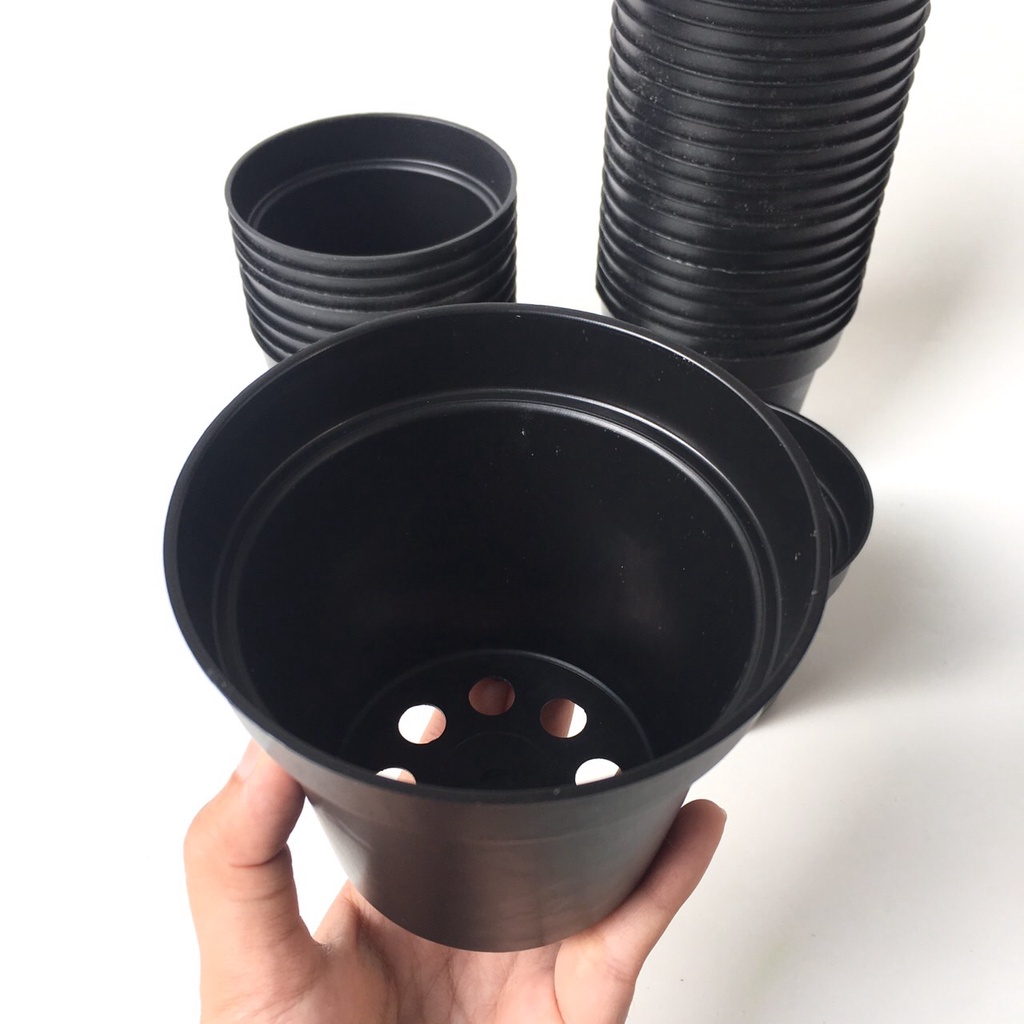 Zoetoys Pot 10 cm | Pot Bulat Bibit Tanaman Mini Plastik Kecil Hitam Murah Bisa Untuk Vas Bunga Kaktus Sukulen