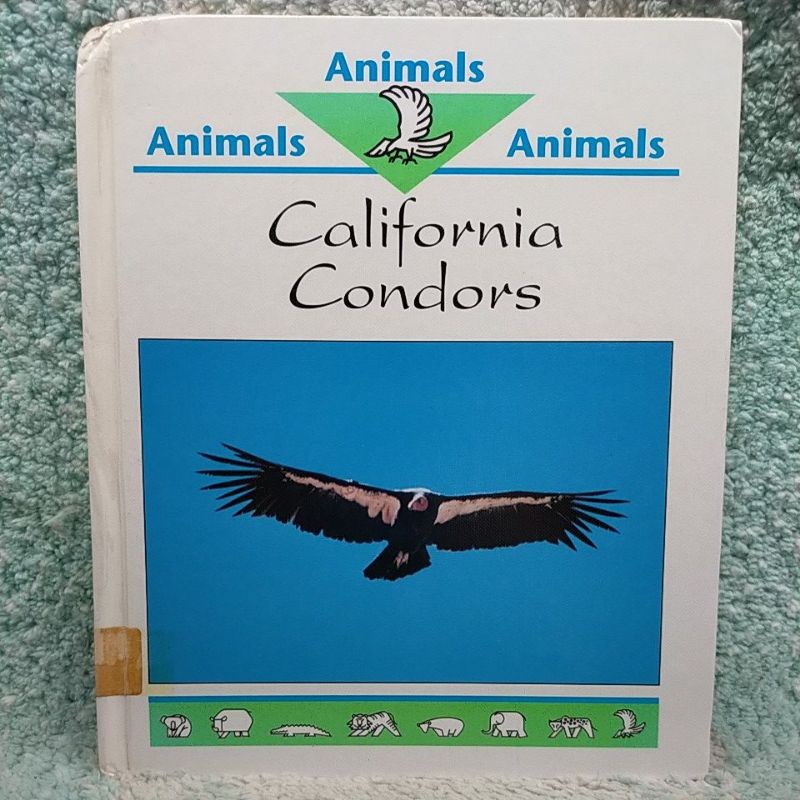 Buku Anak Impor Animals - California Condors