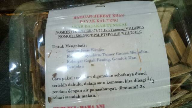 ramuan khas dayak kalteng akar bajakah tunggal