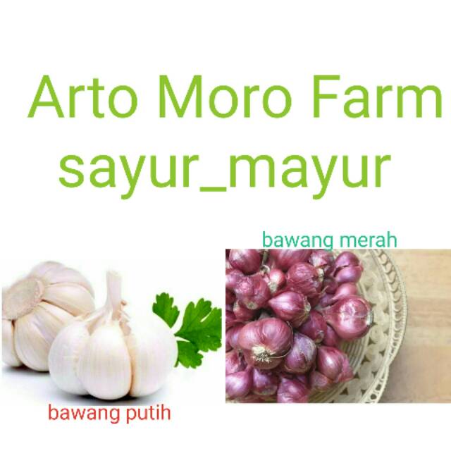 

Bawang Merah,Putih, Tunggal 500gram