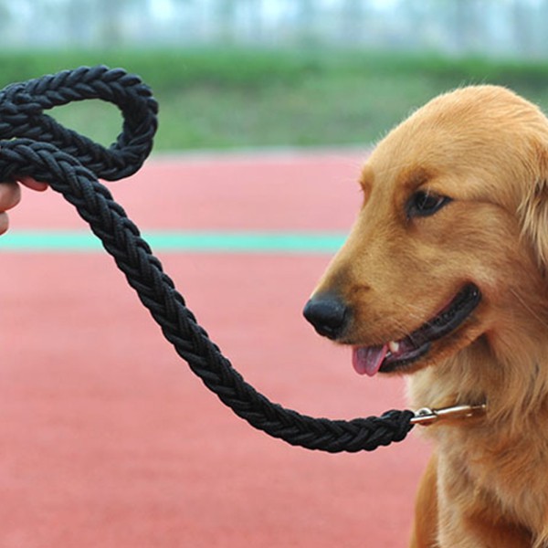 Tali Kekang Tebal Warna Hitam Untuk Anjing Besar Shopee Indonesia