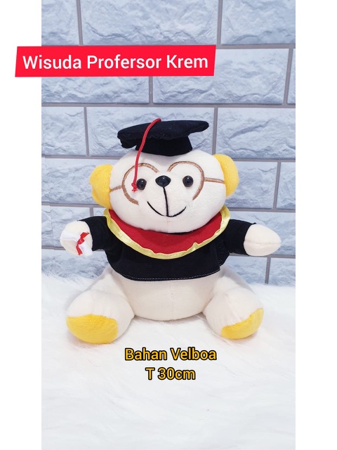 Boneka Wisuda Karakter lucu ( Ukuran L )