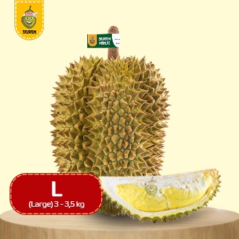 

Duren Kenji Monthong Bulat Fresh Large (Buah Utuh)