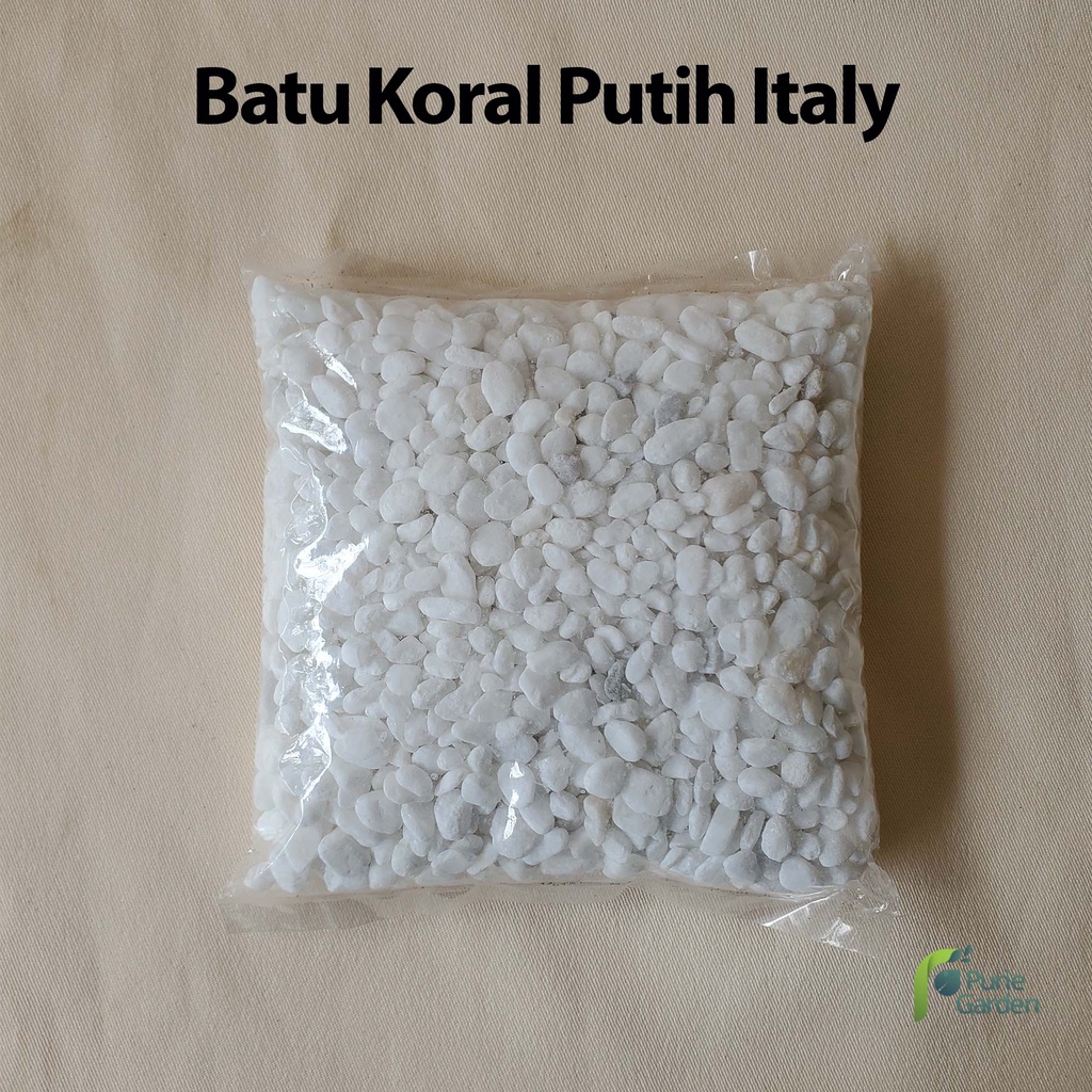 Batu Hias Tanaman Koral Ampyang Italy 500gr PG KDR