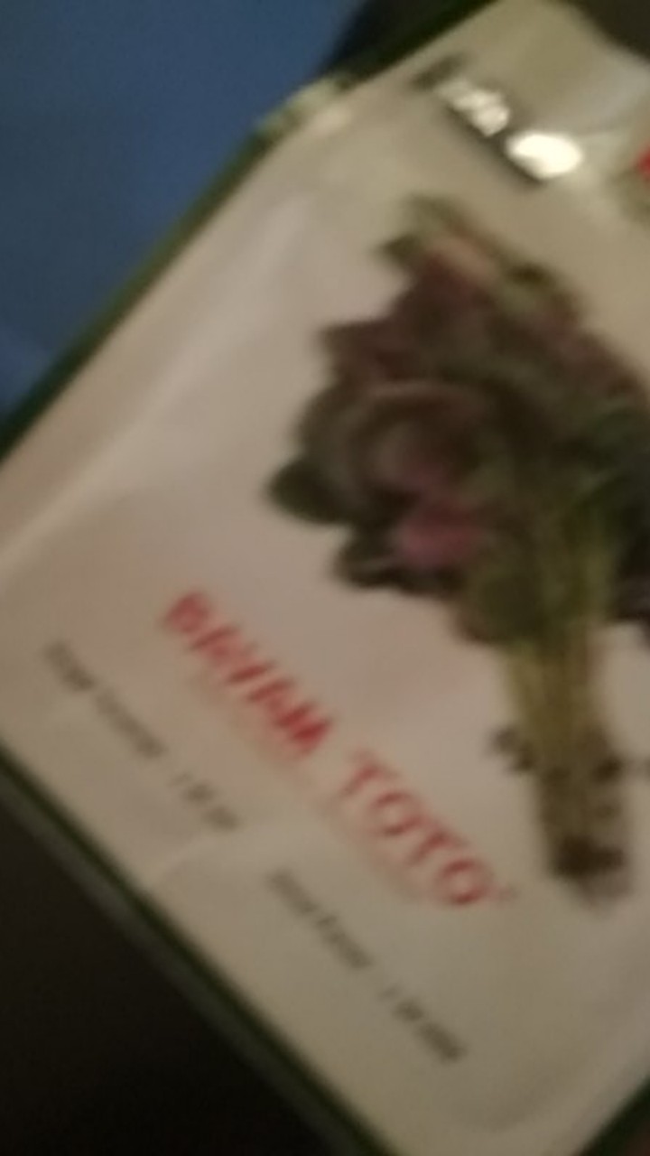 Benih Vinca Exotic Red Juntai 10 Biji – Kemasan Foil