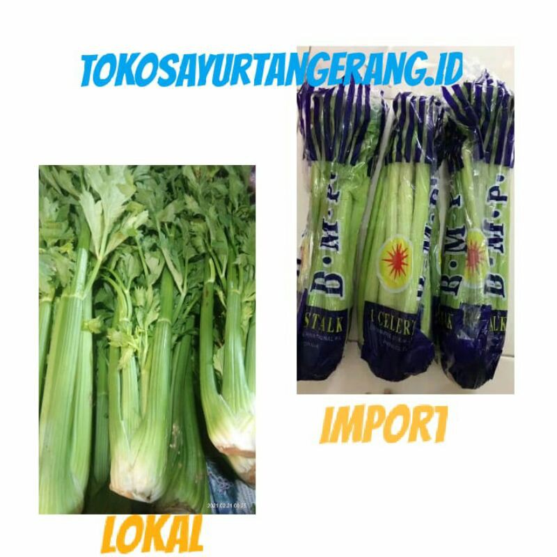 

Celery stick/Seledri Batang Lokal Dan Import 1000 gram