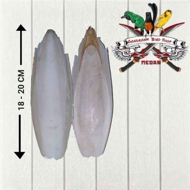 Tulang Sotong Size 18- 20 Cm / Pcs