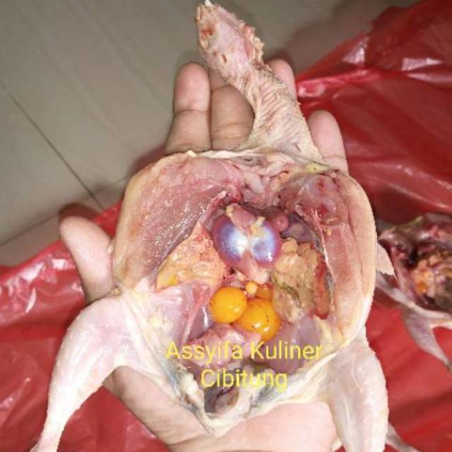 

Daging Burung Puyuh Premium dgn Jeroan dan Telor Muda ukuran 130-160 Gr min order 10 Ekor