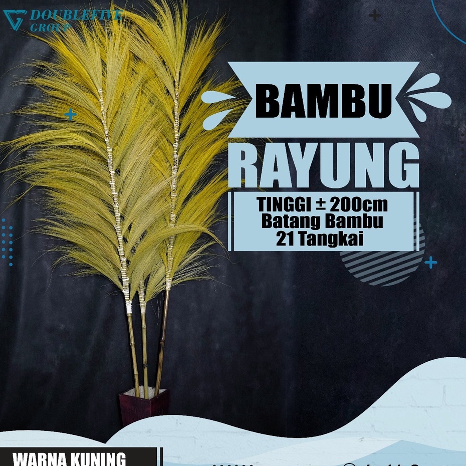 Rayung Jumbo - Rayung Kering Dekorasi - Rayung Stik Home Decor Rustik - Rayung Warna Terlengkap