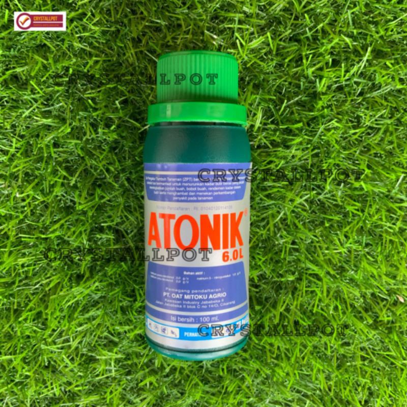 Zat pengatur tumbuh tanaman (zpt)ATONIK 6.0L 100ml