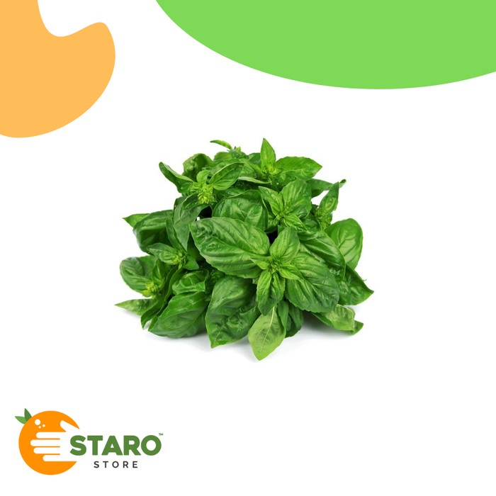 

Daun basil / basil leaves / daun basil organik - 100 gram