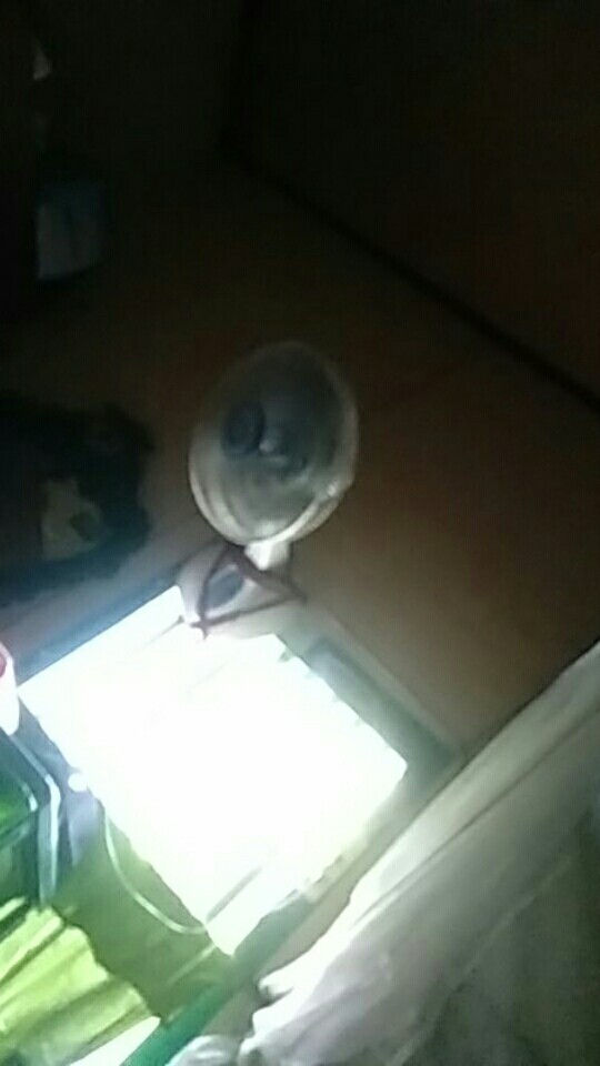 New Kemeja Batik Pria Atasan Modern Murah Seragaman Terus