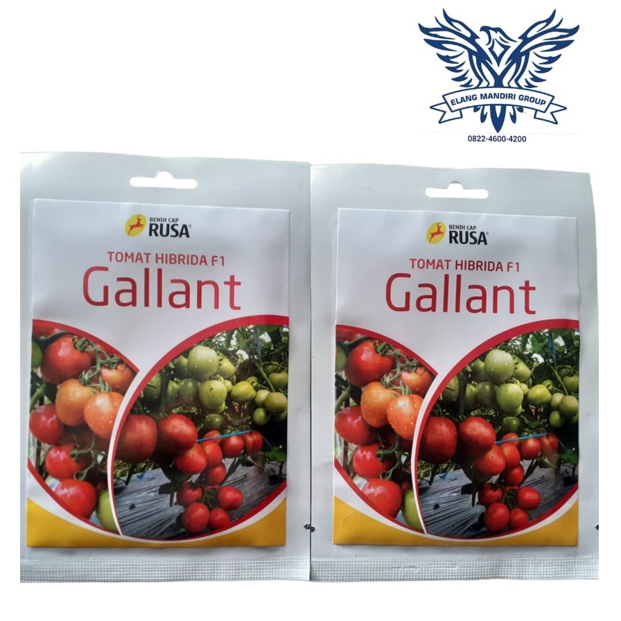 Benih Bibit Tomat Gallant  5 Gram Cap Rusa