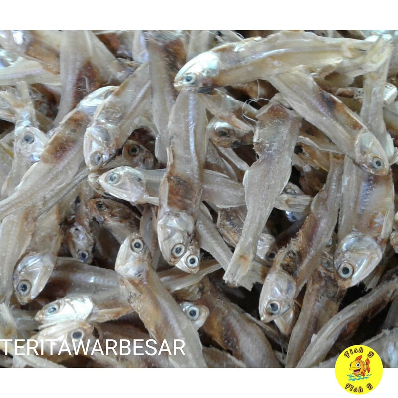 Ikan teri tawar besar 1kg termurah