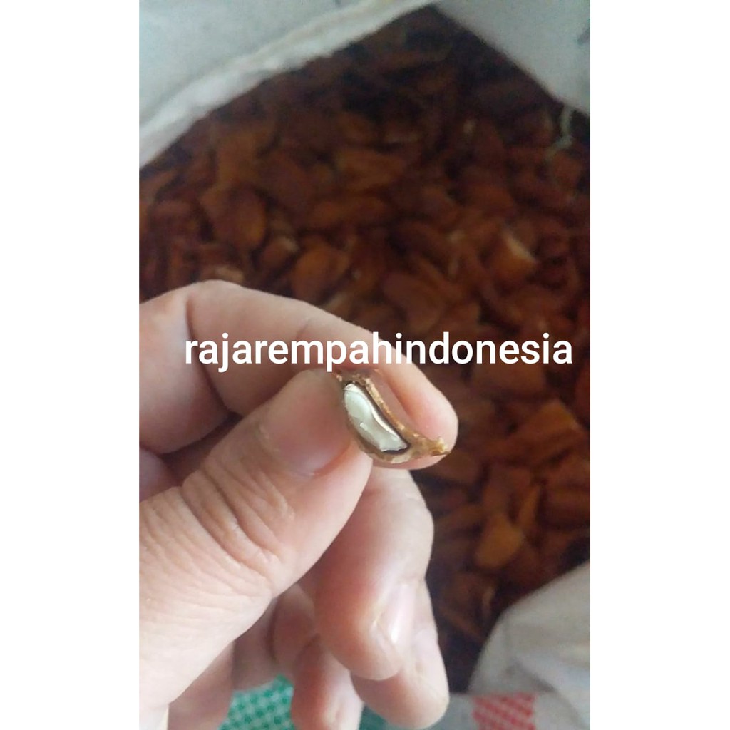 

BIJI MAHONI RP 12.500