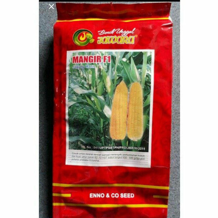 Benih Bibit Jagung Manis MANGIR F1 || Benih jagung manis || Bibit Jagung manis || Biji jagung manis