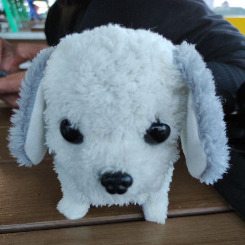 mainan anjing bisa jalan bunyi