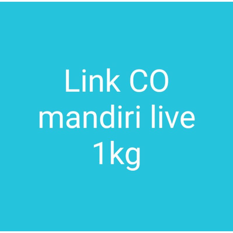 CO mandiri saat Live