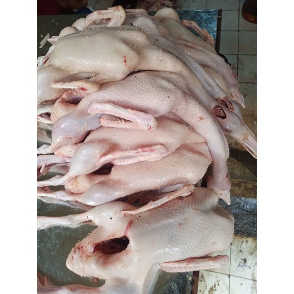 

Daging Bebek/Peking Utuh Hati Ampla Fresh