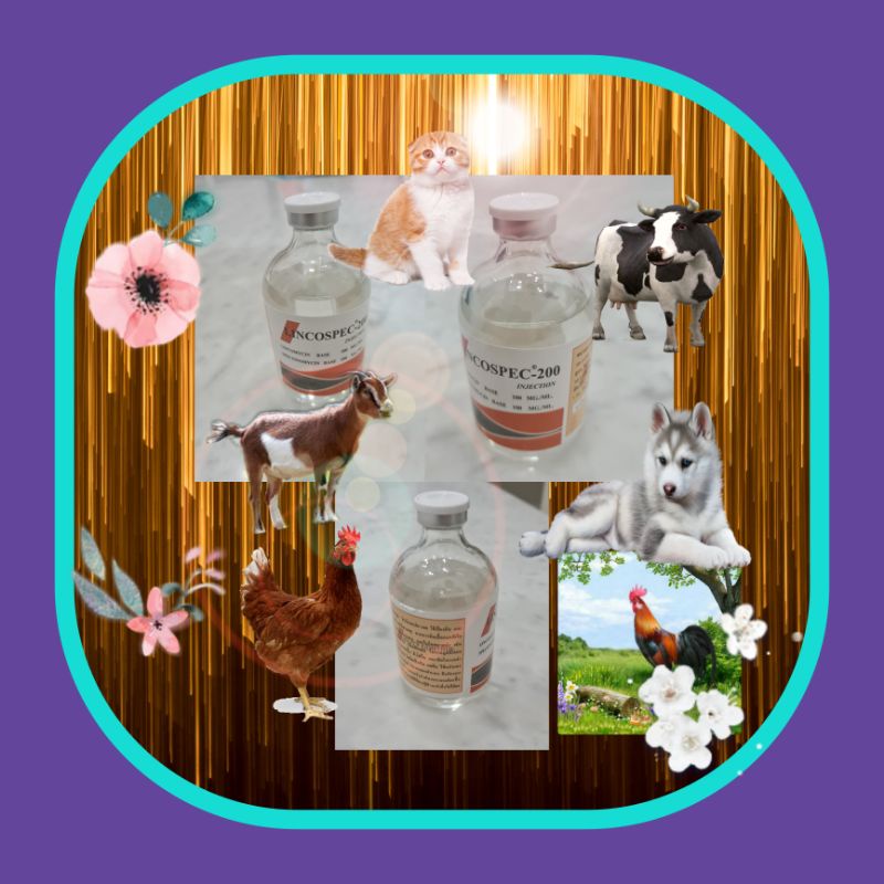 lincospec-200 100ml obat ayam sakit kronis vitamin lincospec snot pilek