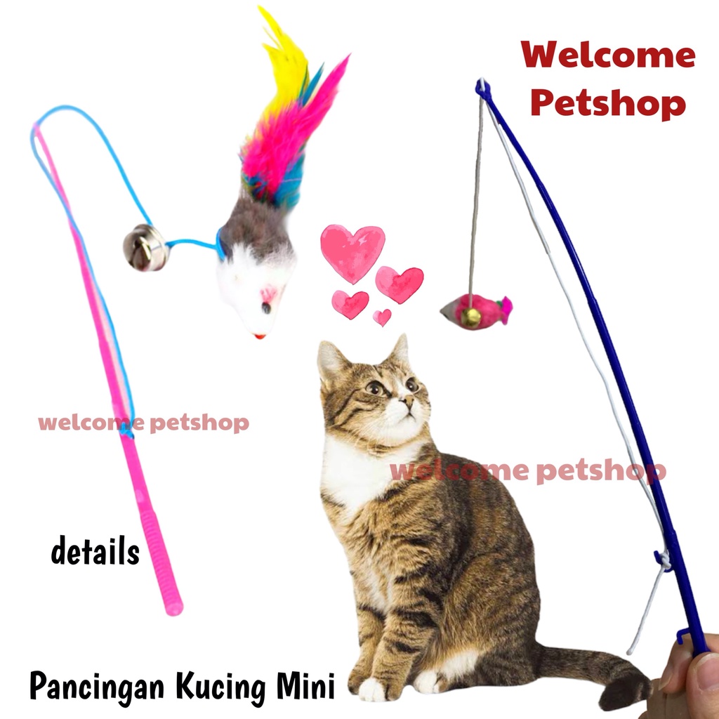 Pancingan Kucing Kecil / Pancingan Tikus / Mainan Kucing / Cat Toy / Tongkat Mainan Kucing