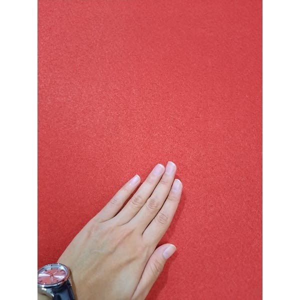 Karpet Bludru Polos [METERAN] Lebar 200cm, AVANZA 0,5 x 2 Meter-3