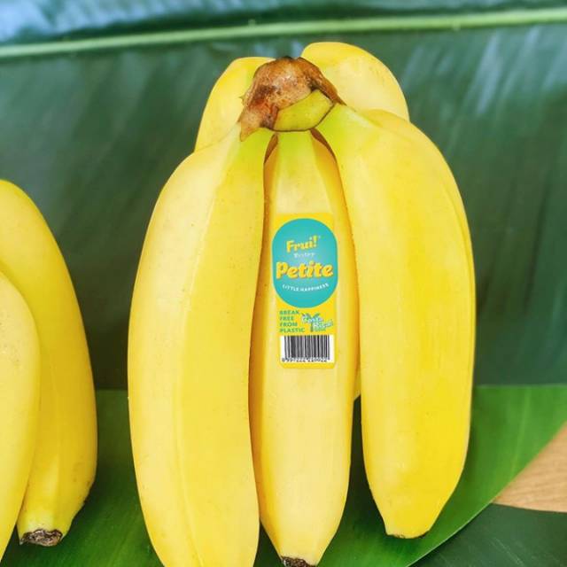 

Petite frui