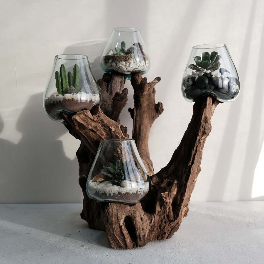 AKUARIUM IKAN CUPANG 4 IN ONE SIZE XXL KAYU AKAR AQUARIUM - TINGKAT 4