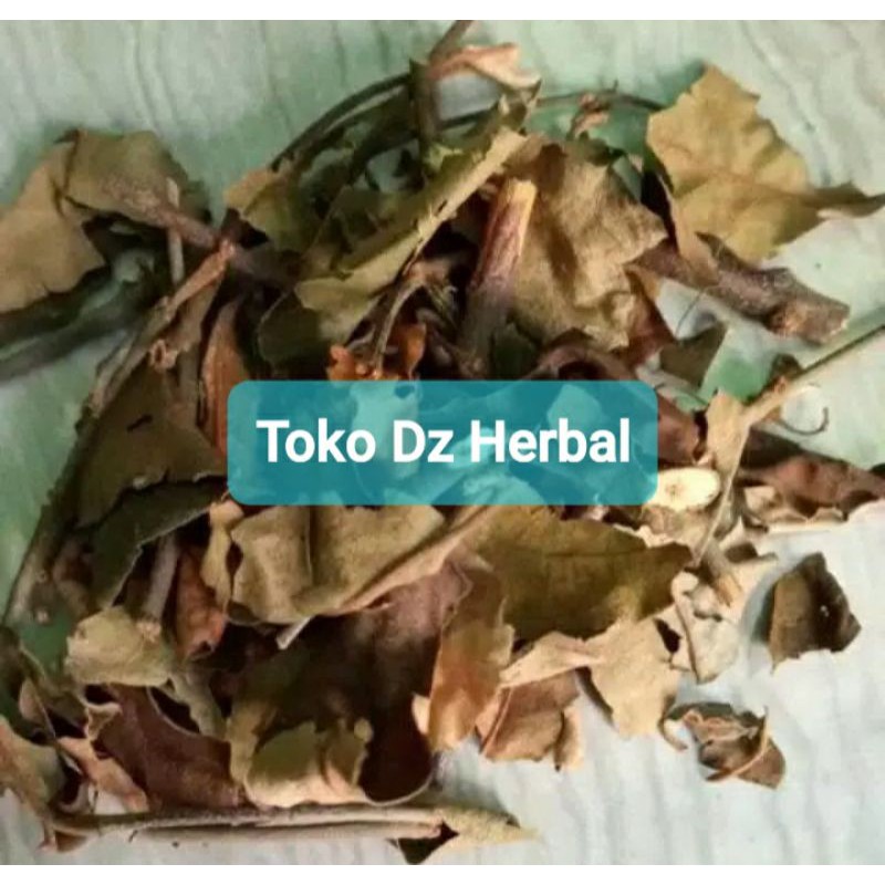 

Daun benalu kopi kering paket hemat 150 gram ready-az