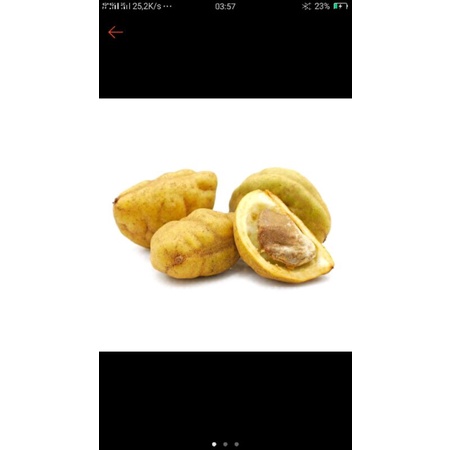 

buah nam nam / pokih harga / 5 biji