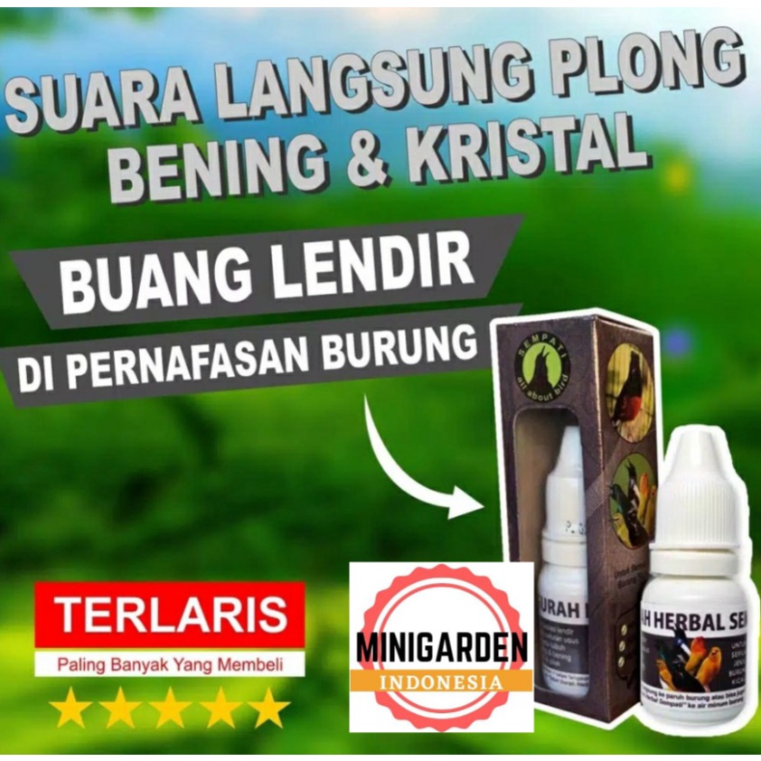 OBAT PENJERNIH SUARA BURUNG anti suara serak berlendir obat gurah burung batuk pilek nafas pendek