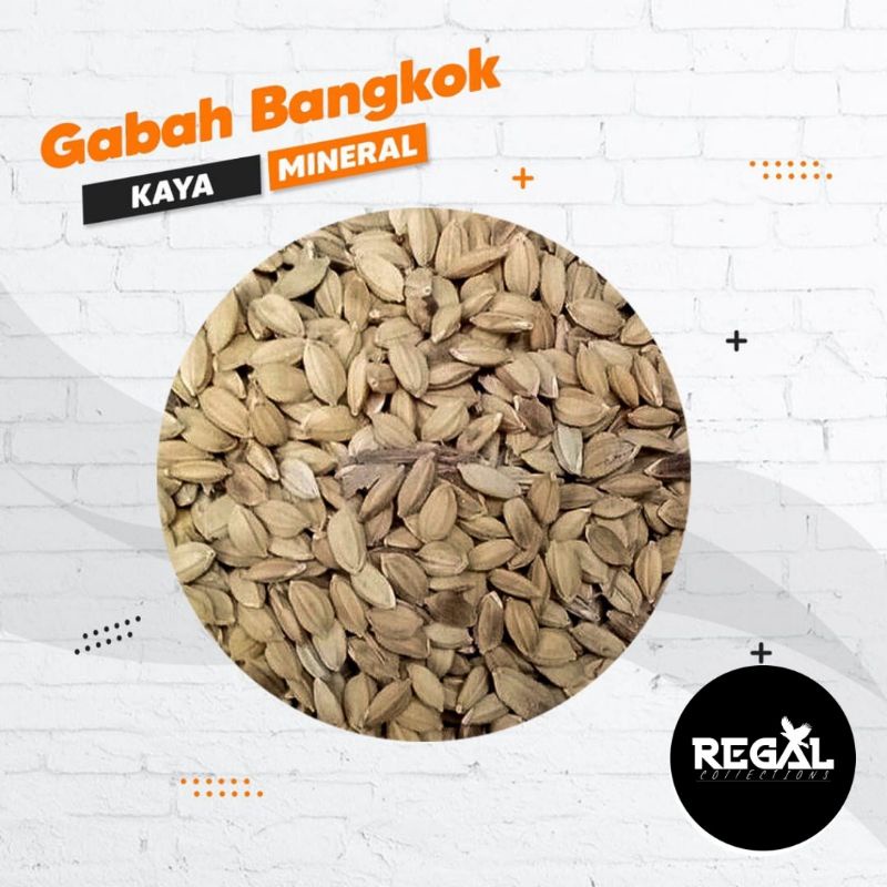 Gabah Bangkok 250gr, Penambah Stamina Burung Lovebird Perkutut Merpati