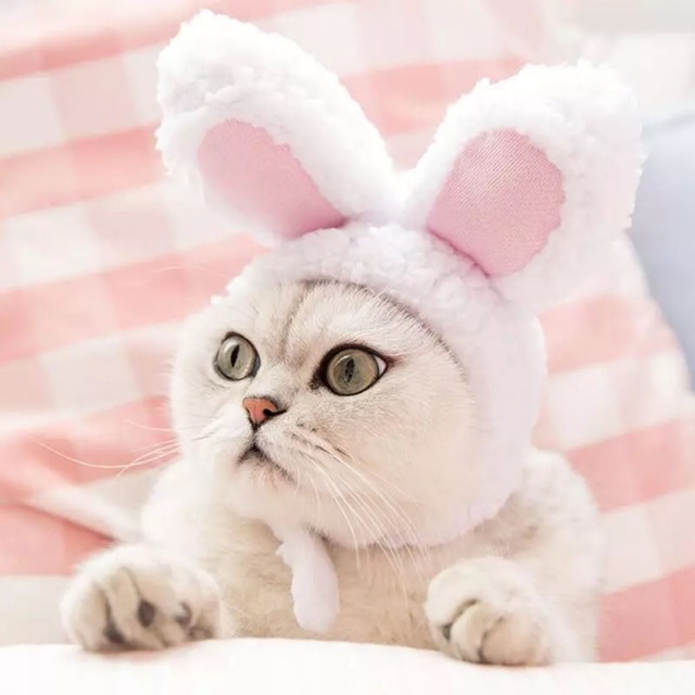 Bunny Hat for Cat - Topi Telinga Kelinci Untuk Kucing Cosplay Rabbit Ear Hat for Cat Dog Cute