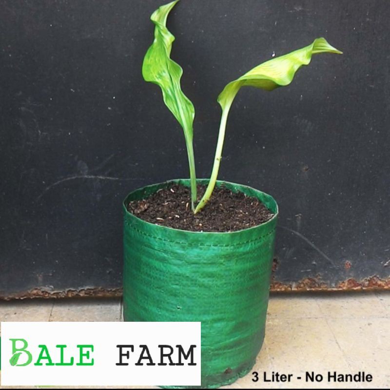 PLANTER BAG 3 LITER EASY GROW / PLANTER.BAG / PLANTERBAG / PLATER BAG