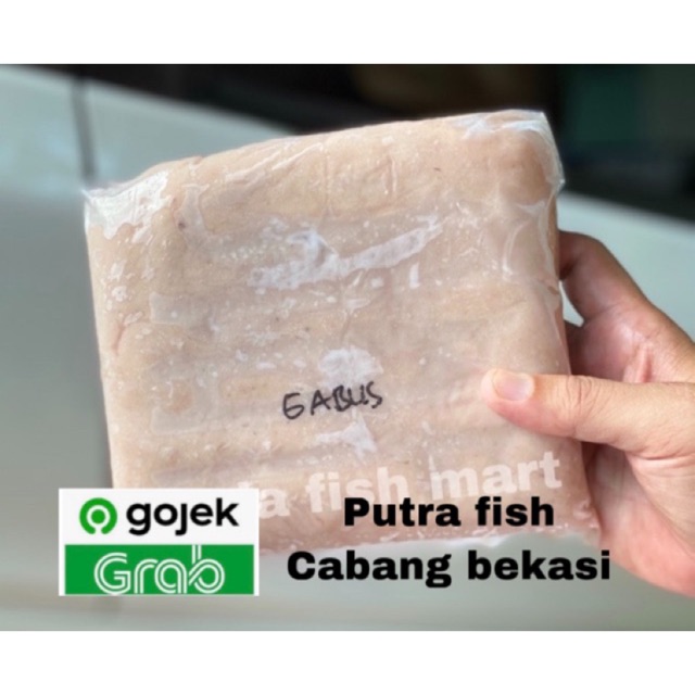 

Ikan giling gabus putra fish bekasi