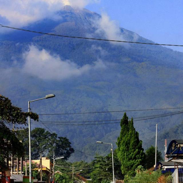 arieyulianto