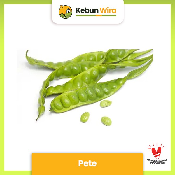 

Pete | Bitter bean