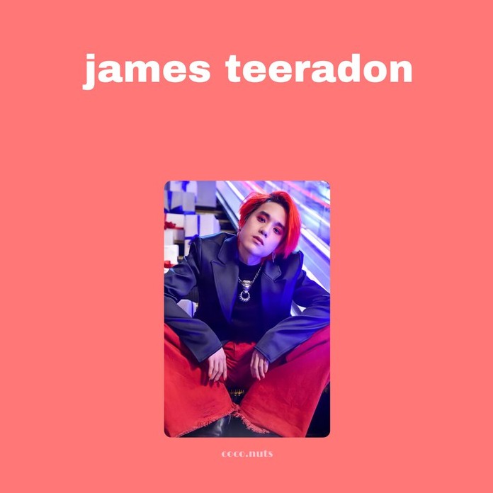 THAI ACTOR PHOTOCARD JAMES TEERADON