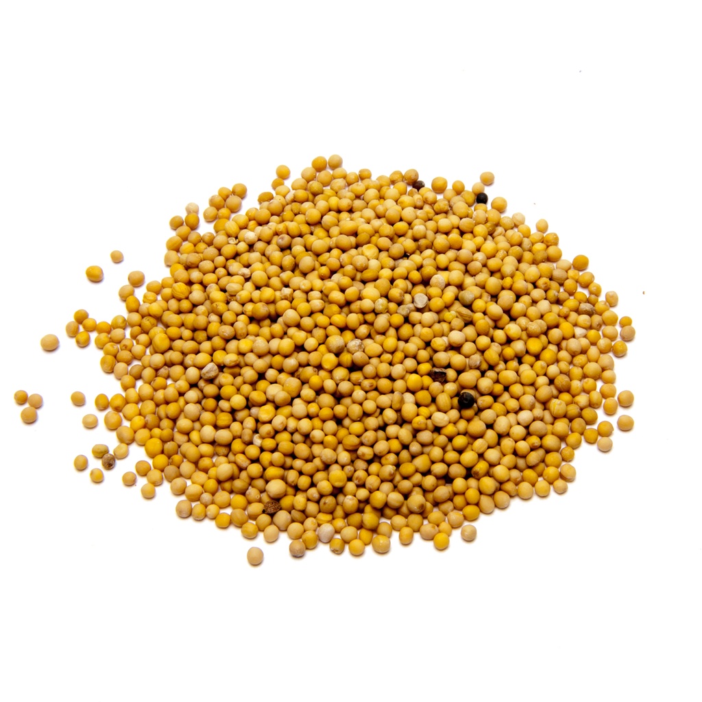 

Yellow Mustard Seeds 100gr