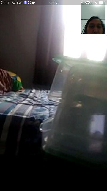 Brgtunga Talenan Sayur Buah Daging, Alat Masak Dapur. Isi 2 Pcs, Hijau Dan Biru