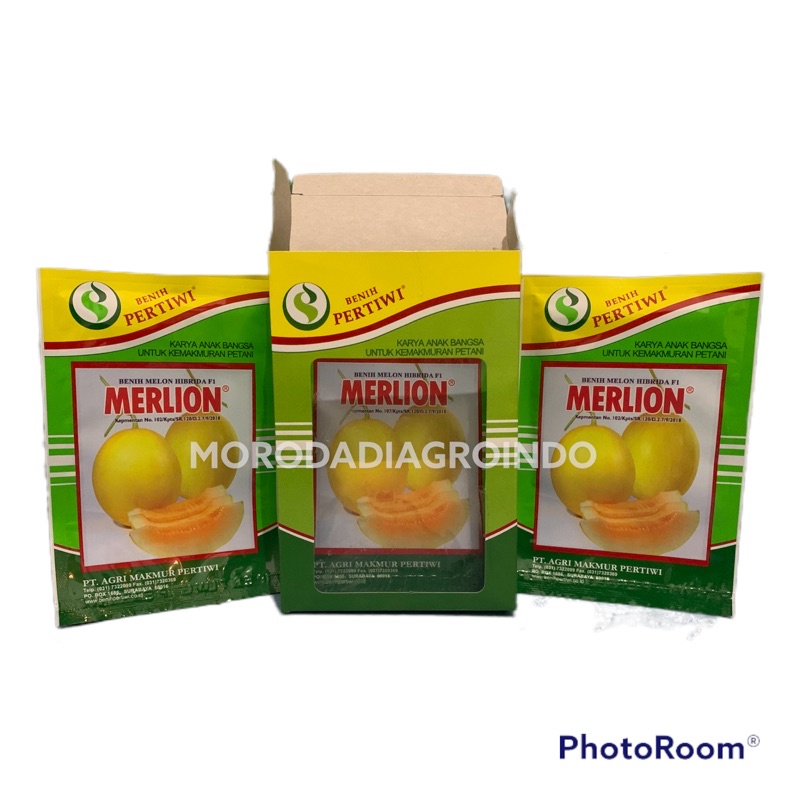 Benih melon golden Merlion F1 pertiwi 10 gr