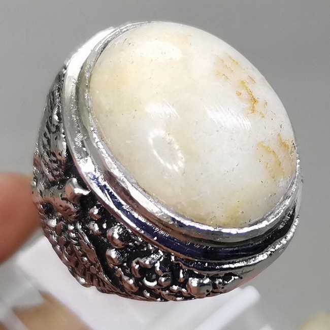 Batu Fosil Mani gajah Asli Ukuran Besar