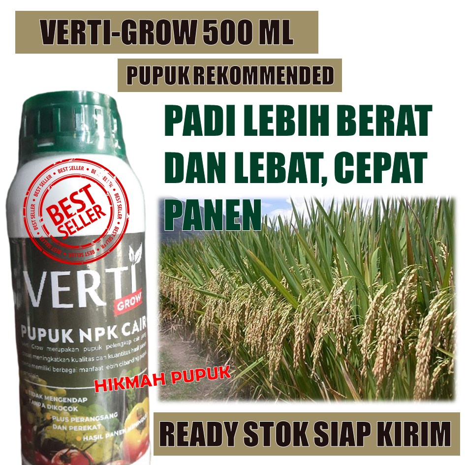 PUPUK TERBAIK VERTI GROW Melebatkan Padi Besar Maksimal - Obat Perangsang Pertumbuhan Padi Berbuah L