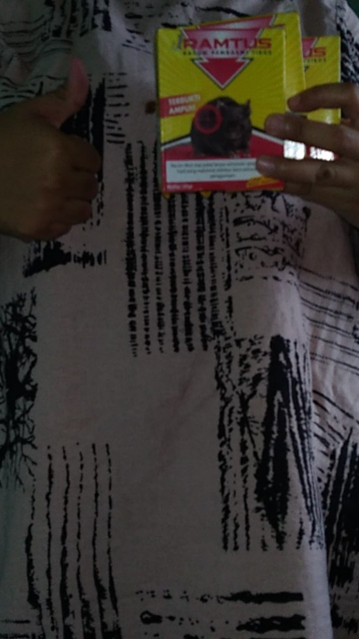 Ramtus Racun Tikus Ampuh Mati Kering Tidak Bau Pembasmi Curut Wirog Mencit Dirumah Di Mobil 3 Pack