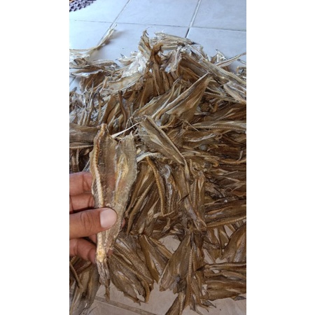 

ikan asin tipis