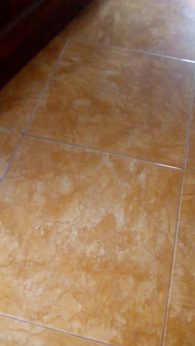 Bathroom Wall-mounted Suction Cartoon Ladybug Toothbrush Storage Holder /household Cute Wall Sucker Hooks Brush Container Cup Shelf