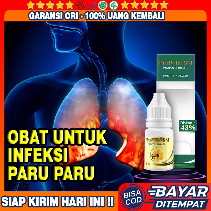 Obat Infeksi Paru paru, Radang paru, TBC paru, TB Paru, Bronkitis, Bronitis, Paru Berair, paru Basah