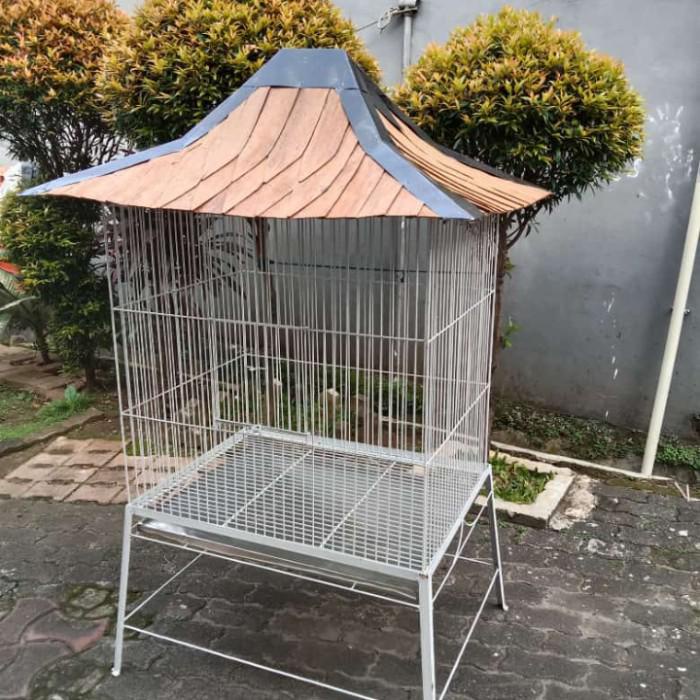 Riofe | Kandang Burung Kakatua. Ayam Ketawa. Ayam Cemani,Ayam Bekisar,Dll