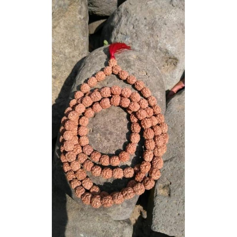 jenitri rudraksha mukhi 3