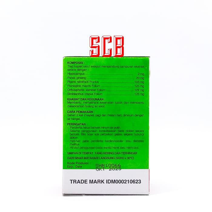 ORIGINAL OBAT SEHAT GINJAL SEAHORSE GHENSHEN KIDNEY 